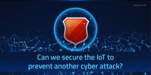 Can we secure the IoT to prevent another cyber attack?