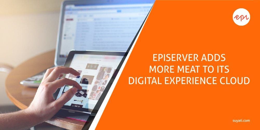 Episerver makes key investments in User Generated Content and Distributed Order Management to fortify its Digital Experience Cloud