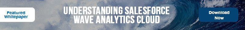 salesforce wave analytics